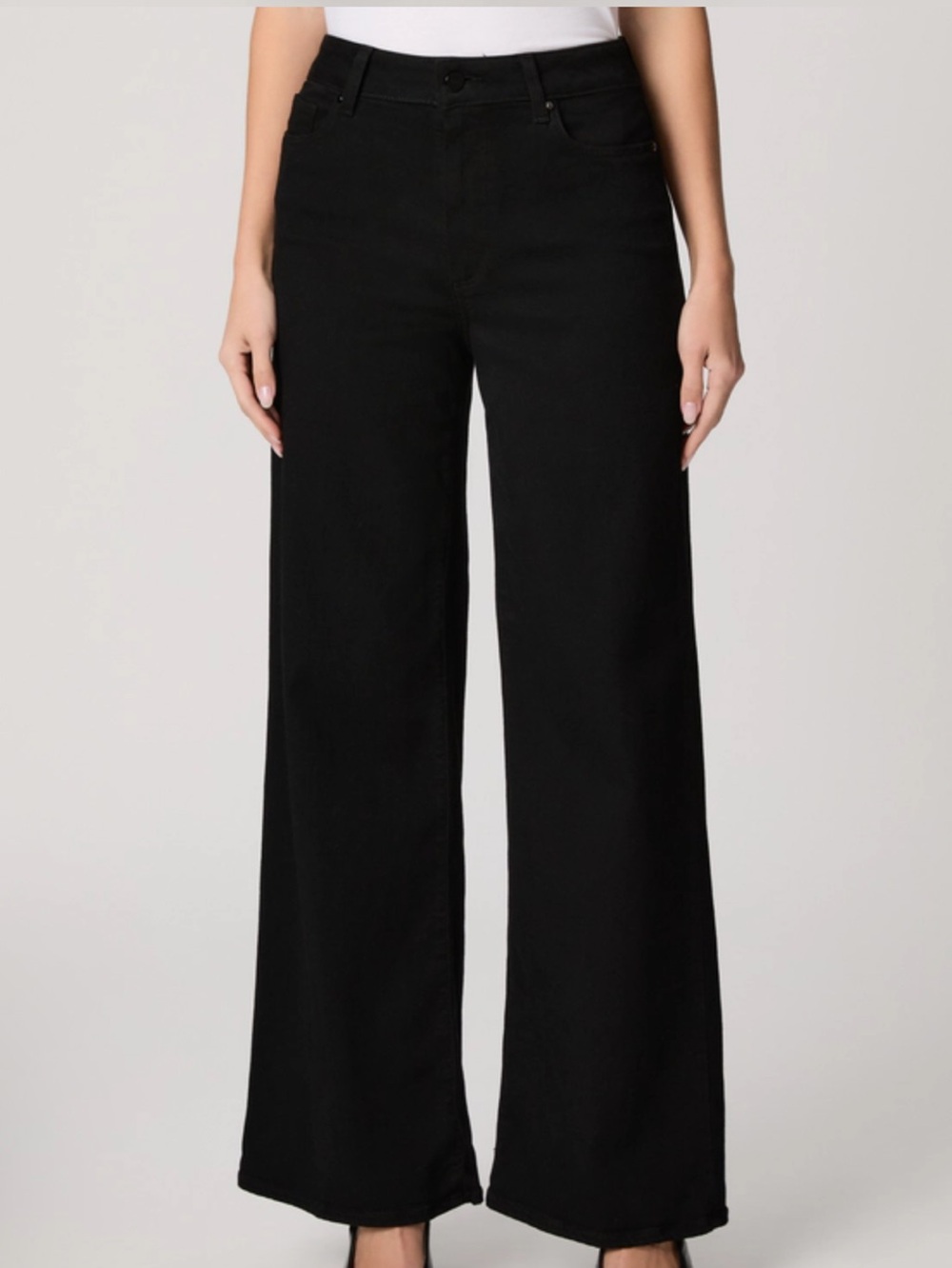 Paige Anessa 31” High Rise Wide Leg Transcend